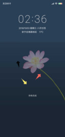 清逸时光