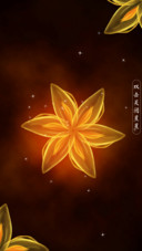 梦幻绽放