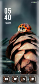 Pine_Four