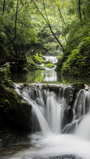 Take you through the oxygenrich canyon
