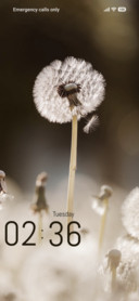 Flower Light
