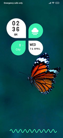 WildLife_1