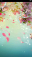 花雨（好评抽奖动态）