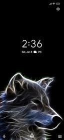 Animals_four