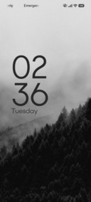 Monochrome Fog