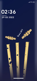 Cricket_4