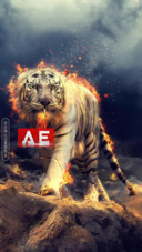 AE炎虎