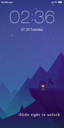Lonely night