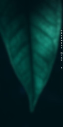 GreenestV10