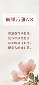 腾祥沁圆W3