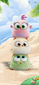 Angry birds beach