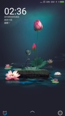 护眼荷花