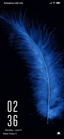 Pankh_DWM4