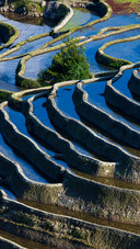Beautiful Terraces