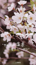 清新唯美粉色v7
