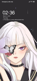 Phantom