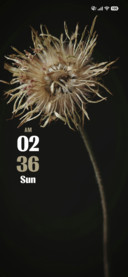 Wild Flower