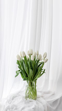 White Spring Flowers Tulips on the Window
