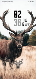 OldDeer