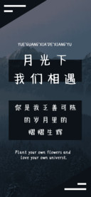 月光下我们相遇