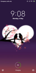 Love Birds LOVE 