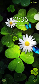 Raindrop leaves