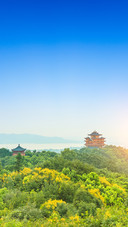 人间天堂