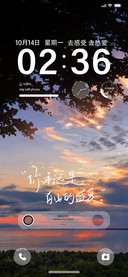 自由盛夏 小组件