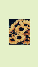CFFlower