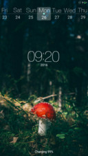 mushroom