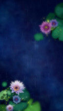 中秋蓝花海