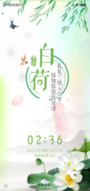 白荷