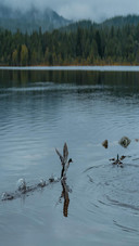 Beautiful lake