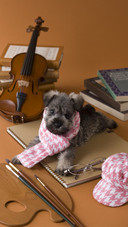 About skinny pups 4