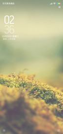 朦胧之美