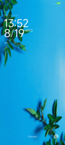 Azure Branch