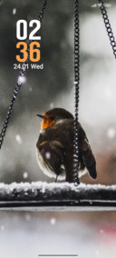 Winter bird