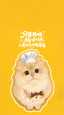 如何养出粘人小猫