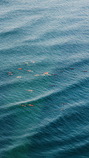 Sea surfing