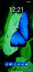 Butterfly Uno
