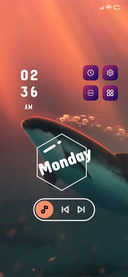Whale Life