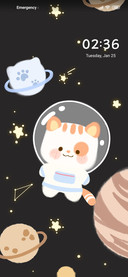 Cat astronaut