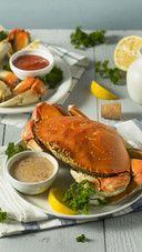 Crab eaters look at it 34