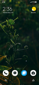 Fresh Canopy