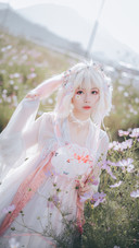 鲜花物语