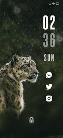 Leopard