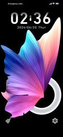 Flower Feather