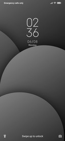 Grey Balls_DWM2