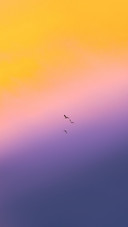 如何拍摄“最美夕阳”？