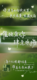 唯独爱你肆意张扬